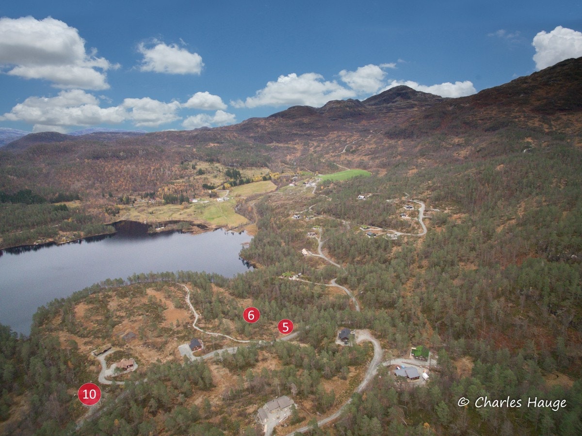 Merket tomter Galleribilde