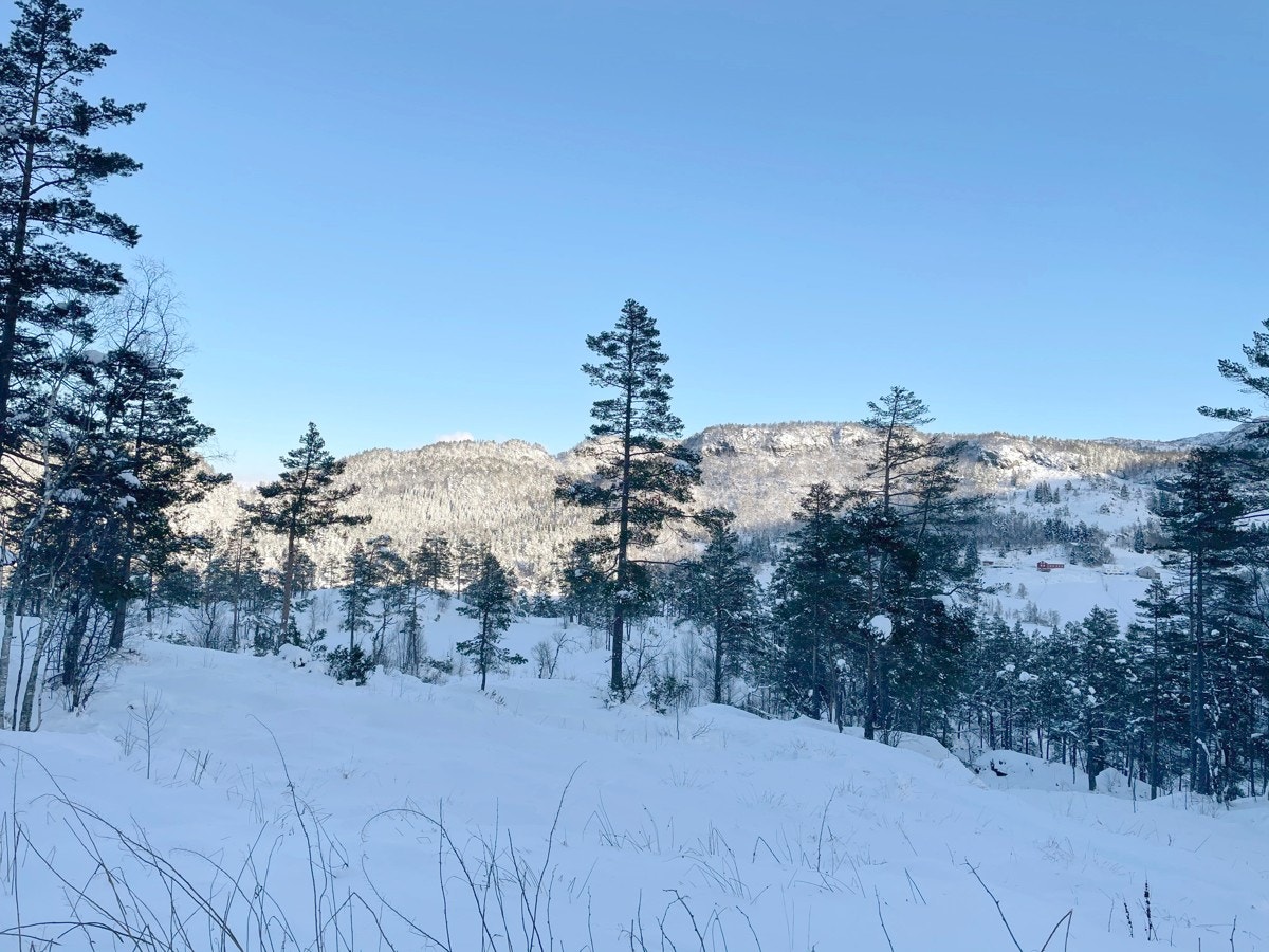 Flotte omgivelser ved Maldalsvatnet Galleribilde