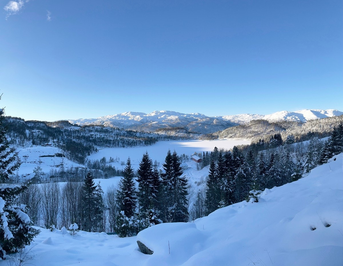 Maldalsvatnet, merket tomter Galleribilde