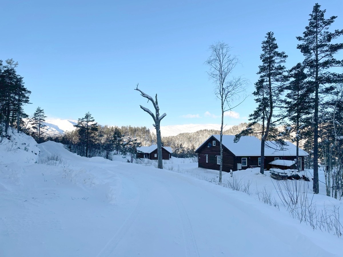 Flotte omgivelser ved Maldalsvatnet Galleribilde