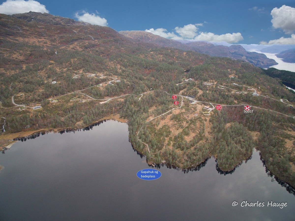 Merket ledige tomter Galleribilde