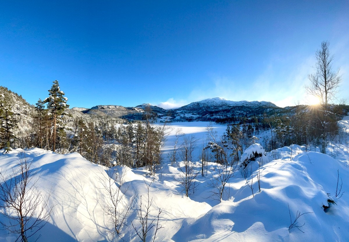 Flotte omgivelser ved Maldalsvatnet Galleribilde