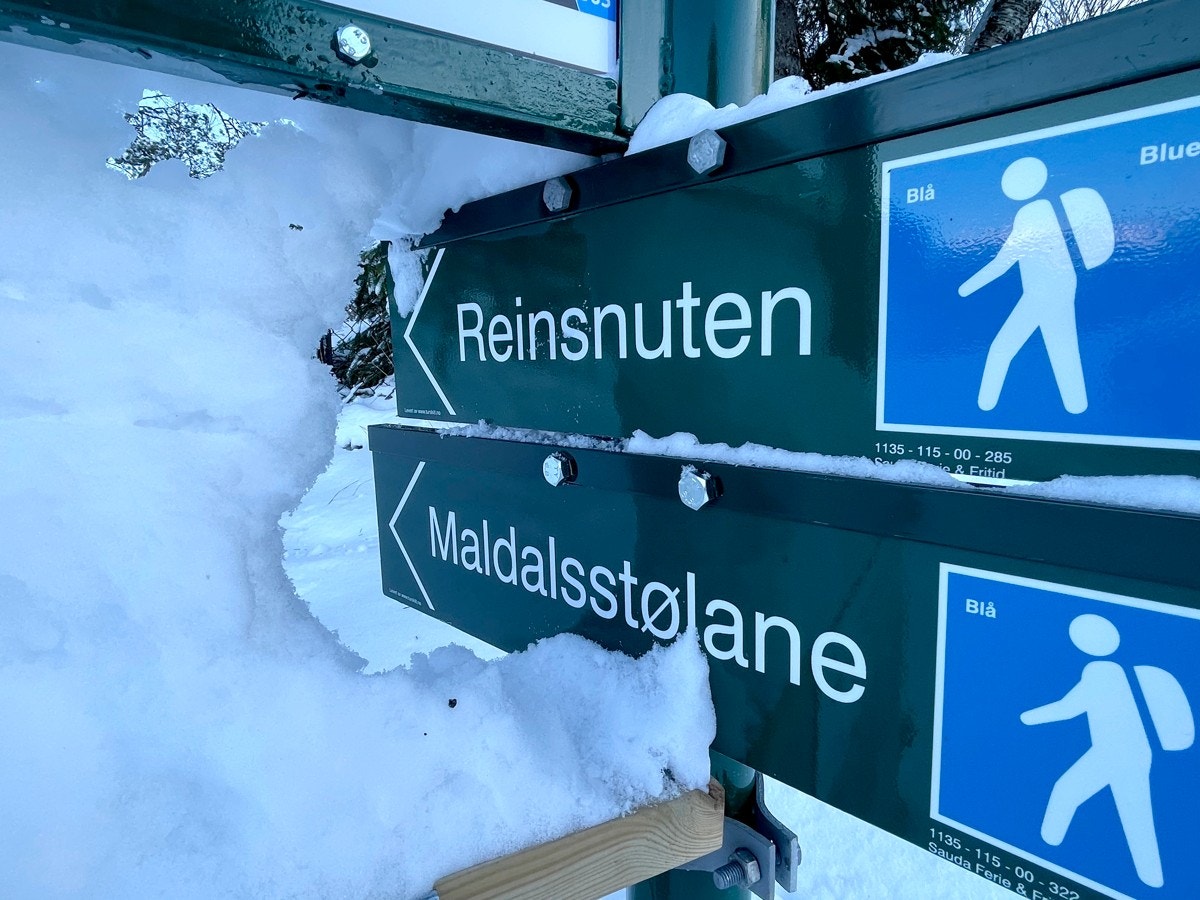 Turløyper Galleribilde