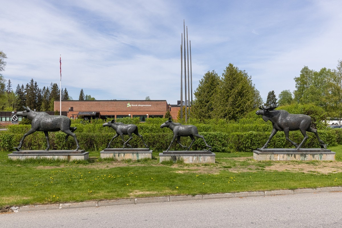Norsk skogmuseum. Galleribilde