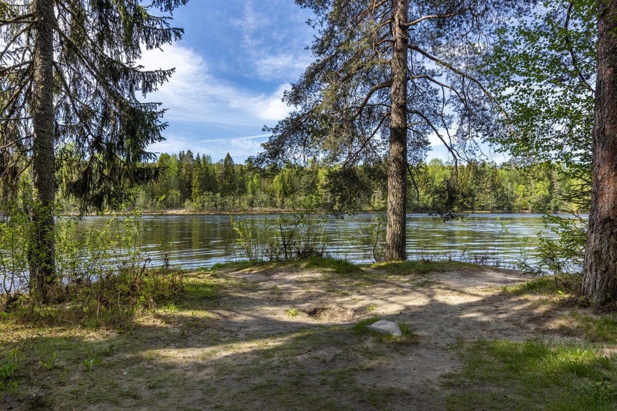 Hanstadvika. Galleribilde