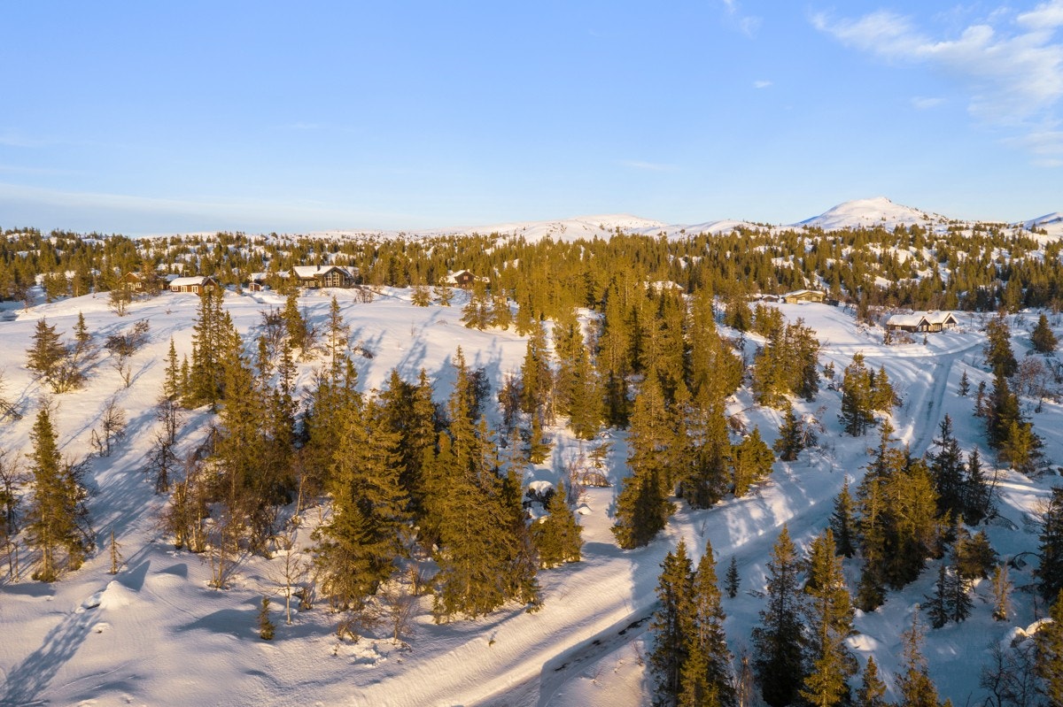 Denne fine hyttetomta ligger åpent og solrikt til i et flott turterreng på Øvre Steinbrennutn i Sørum Sameie på Aurdalsåsen. Galleribilde