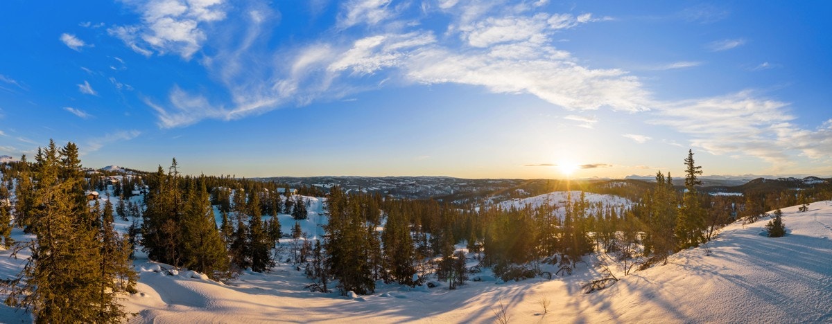 Ønsker du å finne den deilige hytteroen, kan denne fine tomta være noe for deg! Galleribilde