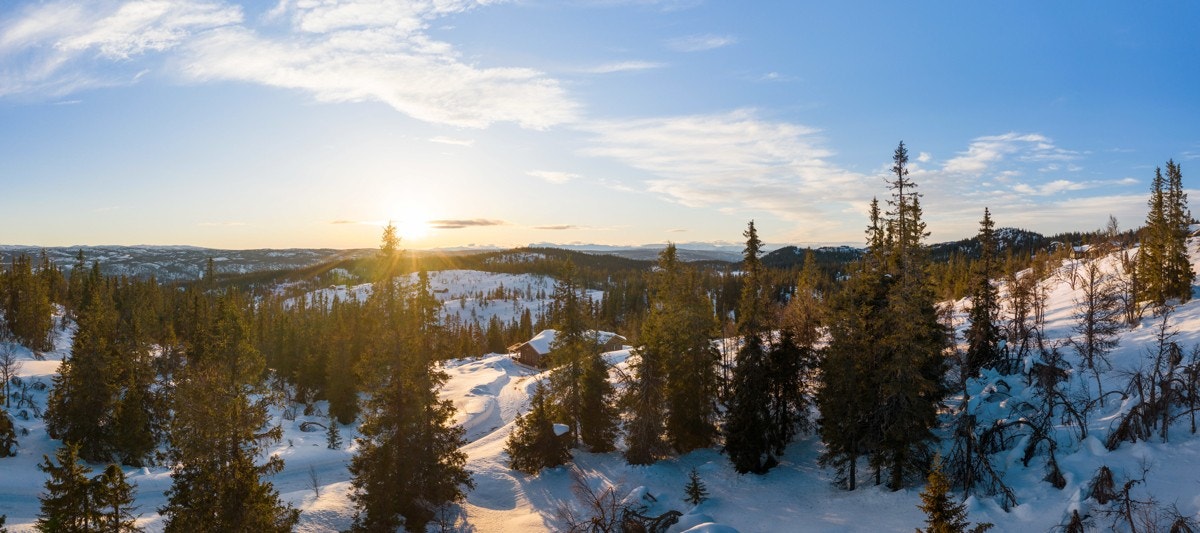 Aurdalsåsen er et populært område som stadig flere får øynene opp for. Her finner en trivelige områder med flott natur i behagelig kjøreavstand fra Østlandsområdet. Galleribilde