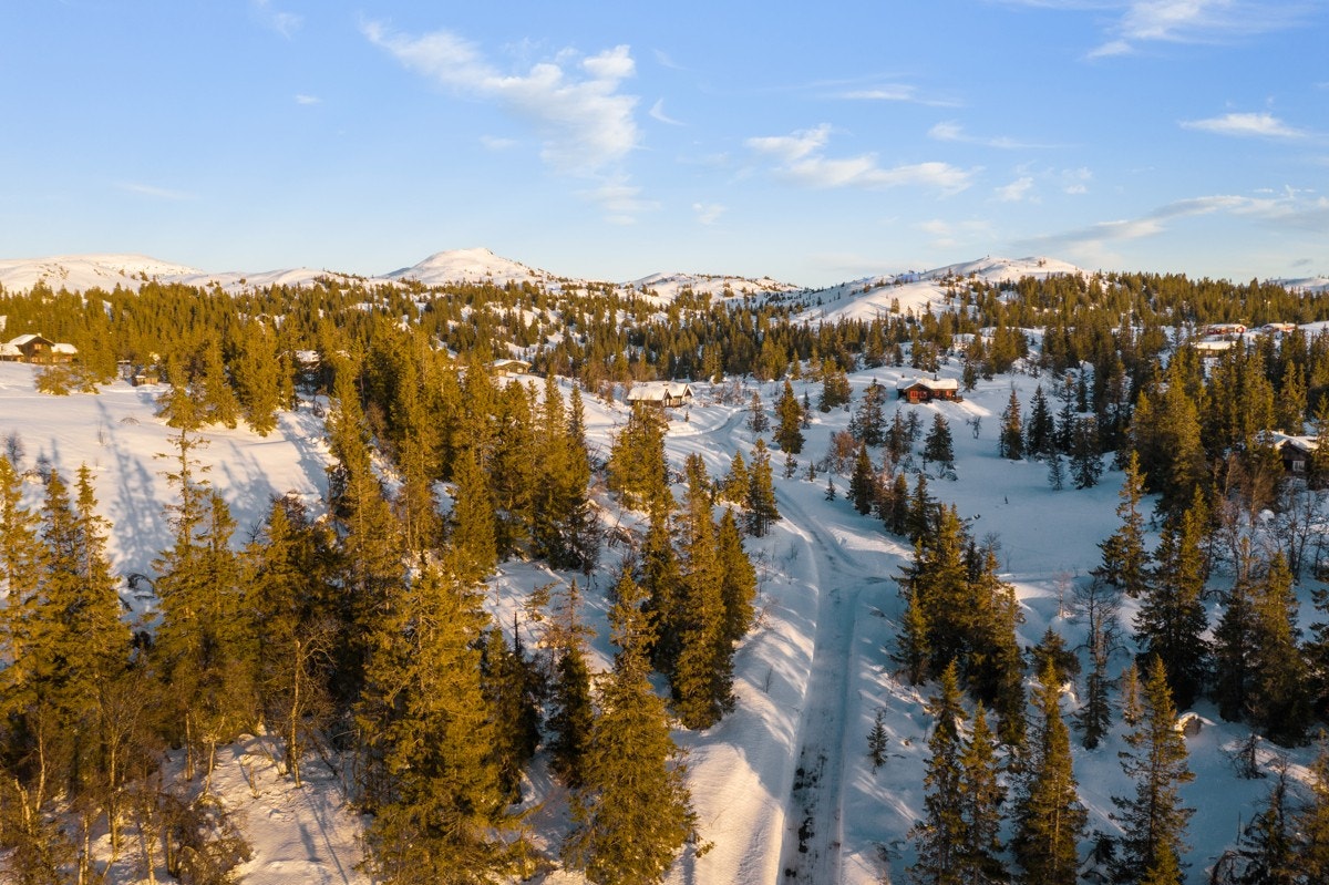 På Aurdalsåsen er det mange små fjellvann, bla. vakre Damtjern. I flere av vannene er det mulig å prøve fiskelykken sommer som vinter. Galleribilde