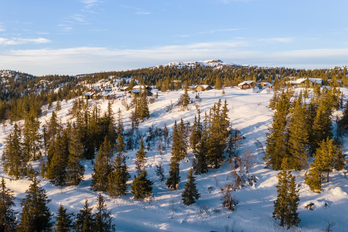 Velkommen på visning! Galleribilde