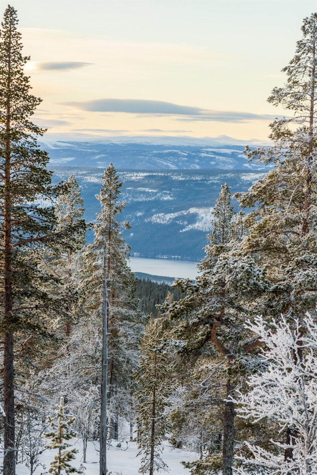 Fantastisk utsikt utover Storsjøen og bakenforliggende naturlandskap med vidder og fjell. Galleribilde