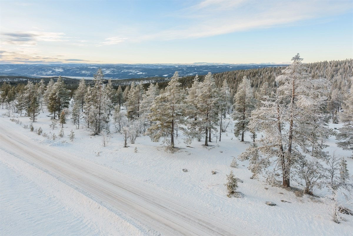 På denne tomten har du en følelse av å være nær uberørt natur, samtidig som du har et populært alpinalnegg og skiløyper som fører deg innover viddene rett i nærheten. Galleribilde