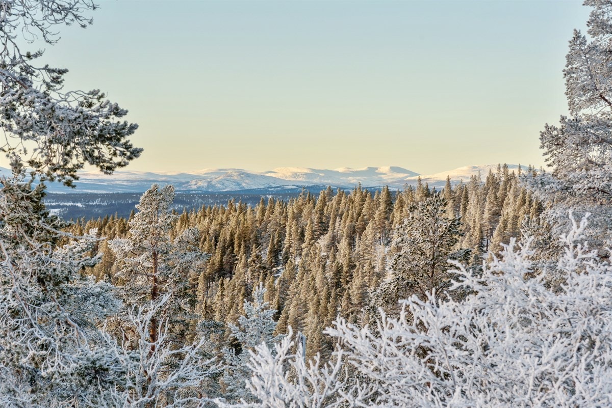 Velkommen til Rendalen og Harestubben 5 Galleribilde