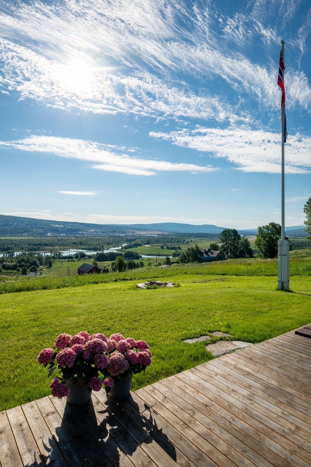 Sommerbilde. Galleribilde