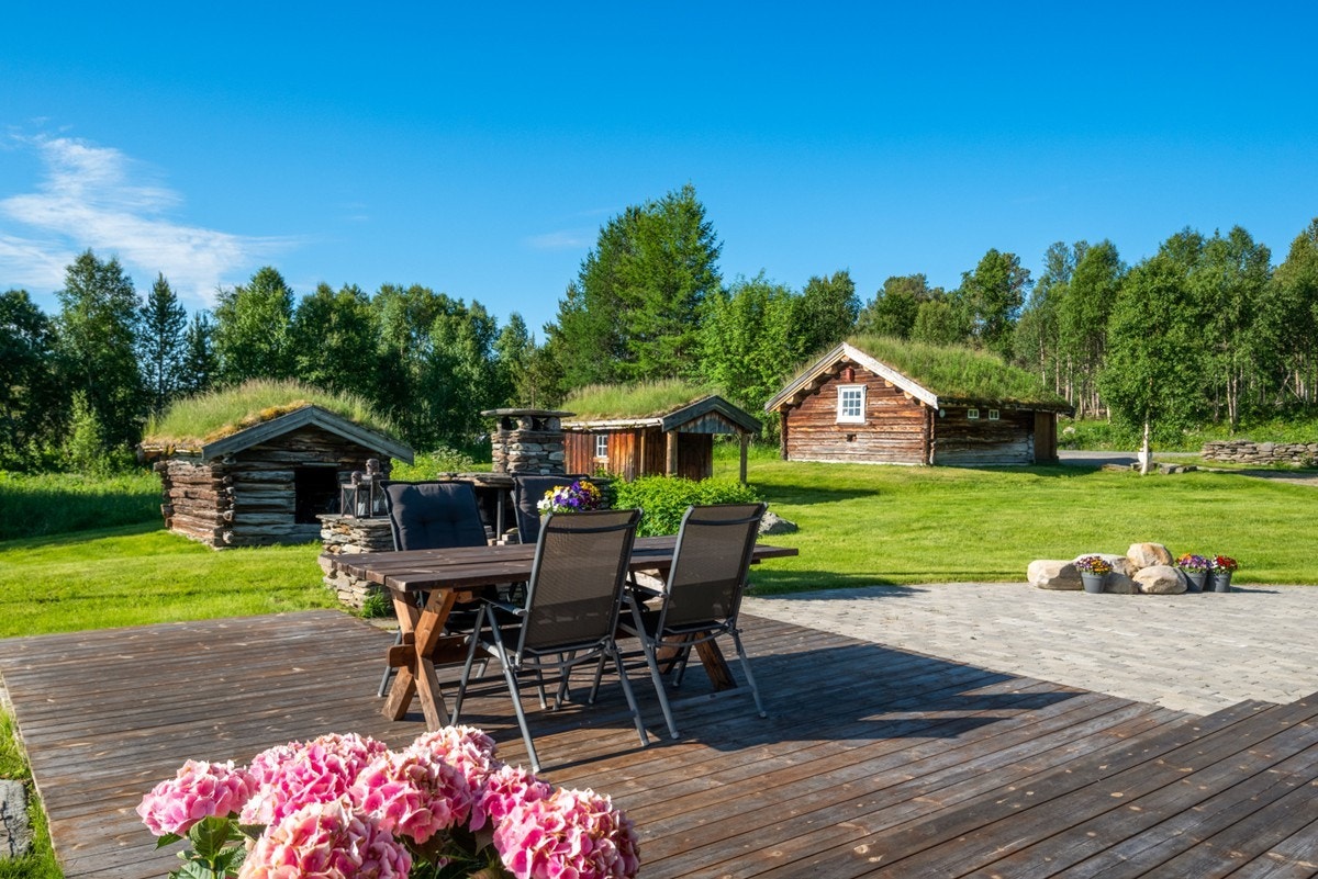 Sommerbilde. Galleribilde
