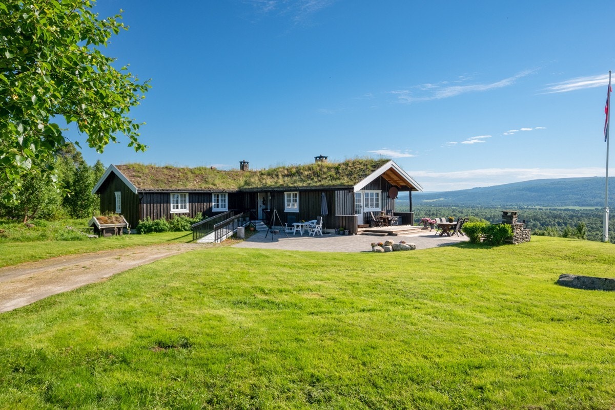 Sommerbilde. Galleribilde