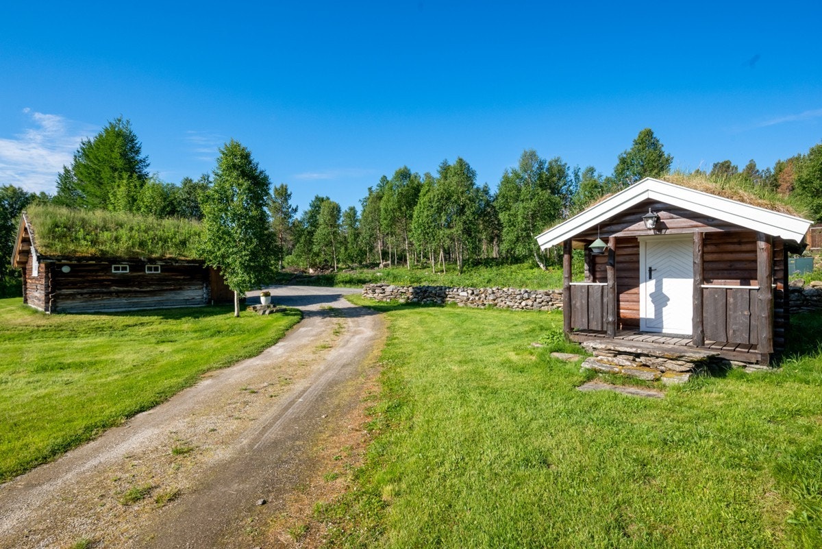 Sommerbilde. Galleribilde