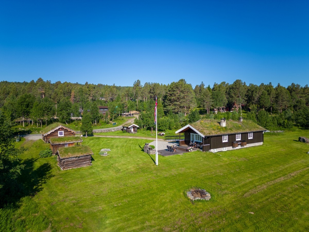 Sommerbilde. Galleribilde