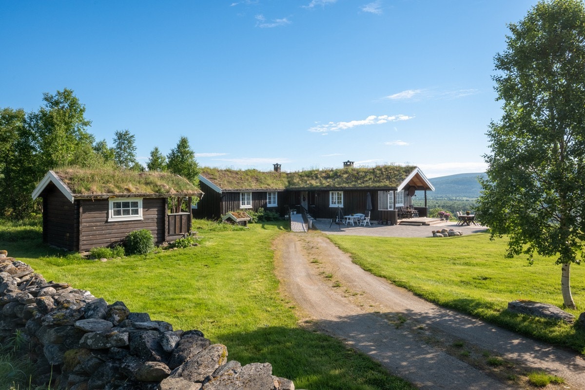 Sommerbilde. Galleribilde