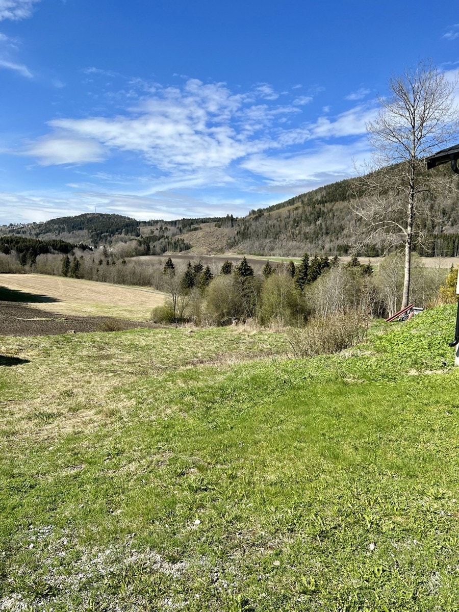 4866445_1-dcjryb1.jpg Galleribilde