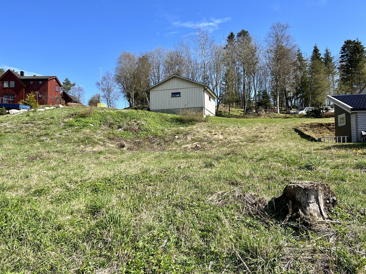 4866447_1-gjribb1.jpg Galleribilde