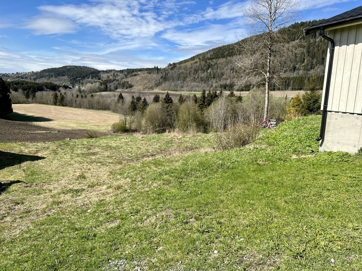 4866444_1-yfivhb1.jpg Galleribilde