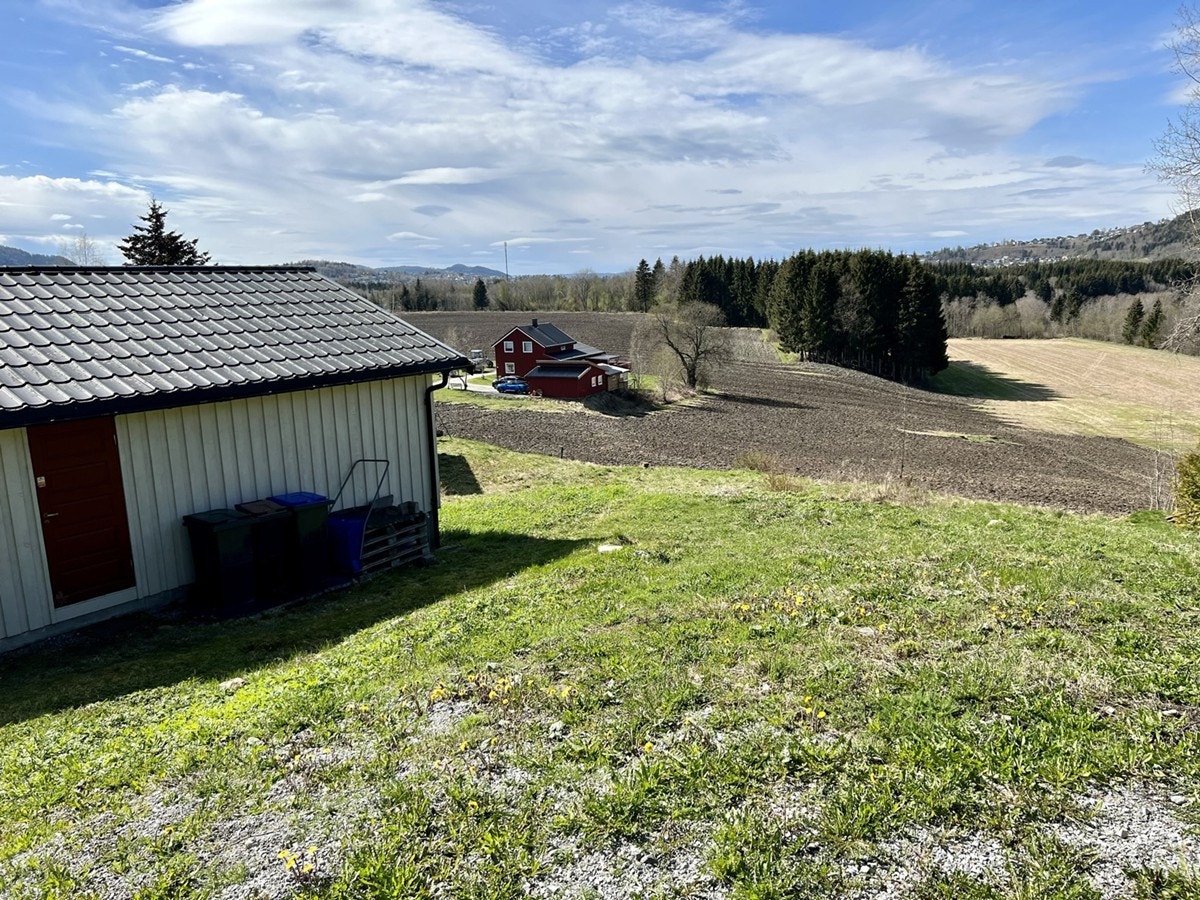 4866449_1-gopxob1.jpg Galleribilde