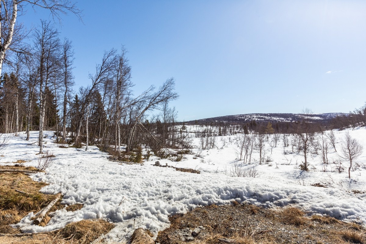 Det er bare å glede seg til opplevelsesrike dager i vakker natur! (Bilde mot tomt T18). Galleribilde