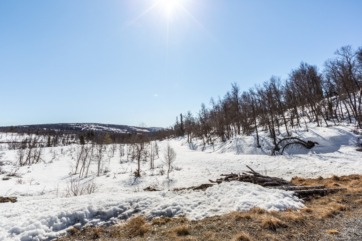 Det er bare å glede seg til opplevelsesrike dager i vakker natur. (Bilde mot tomt T13 og T14). Galleribilde