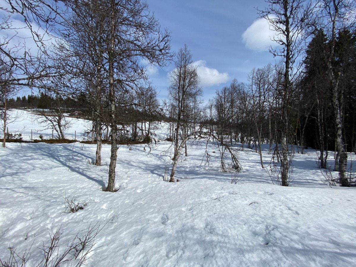 Tomt T18 er på ca. 1.400 m². Galleribilde