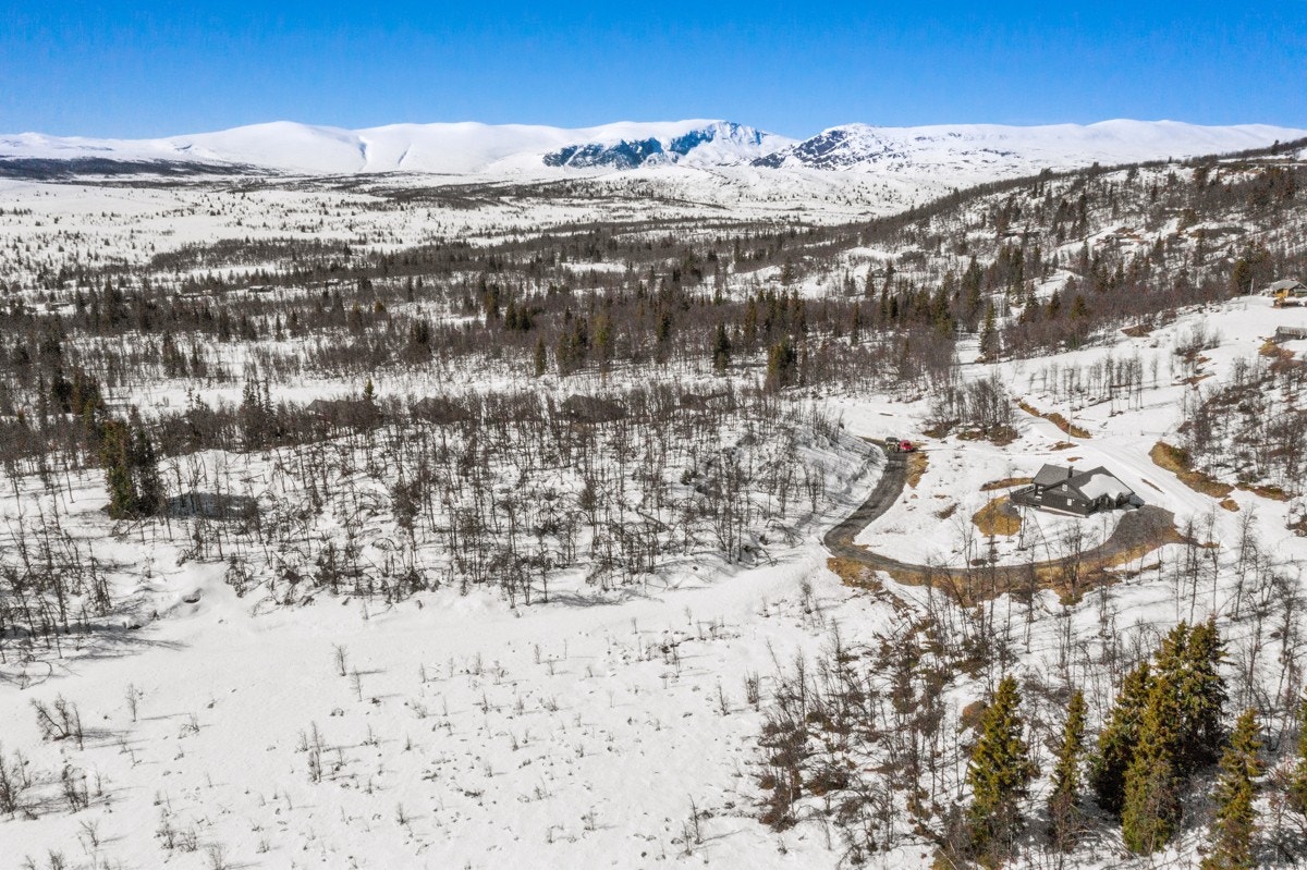 Velkommen til Langehaugen på Lehøvd! Fotograf: Inviso (Tor Solberg) Galleribilde