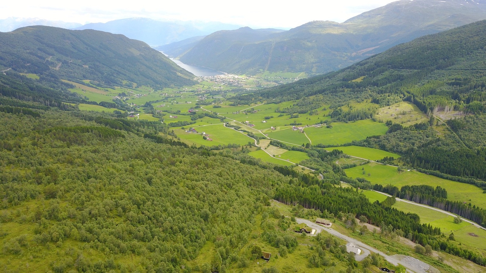 Foto fra tomteområdet Galleribilde