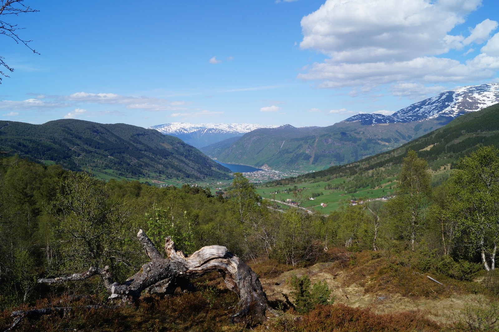 Flotte turmuligheter Galleribilde