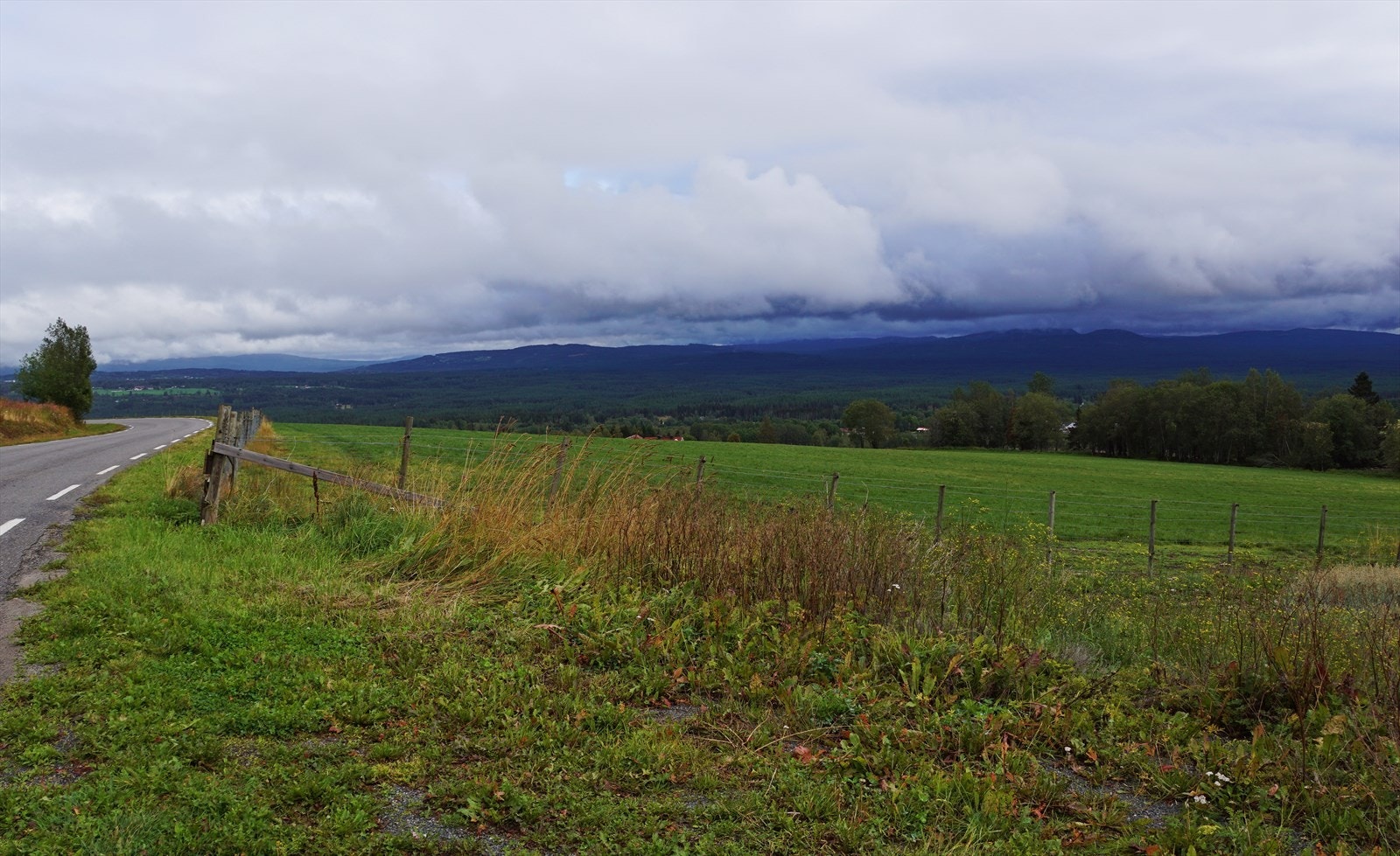 Hovinberget Galleribilde