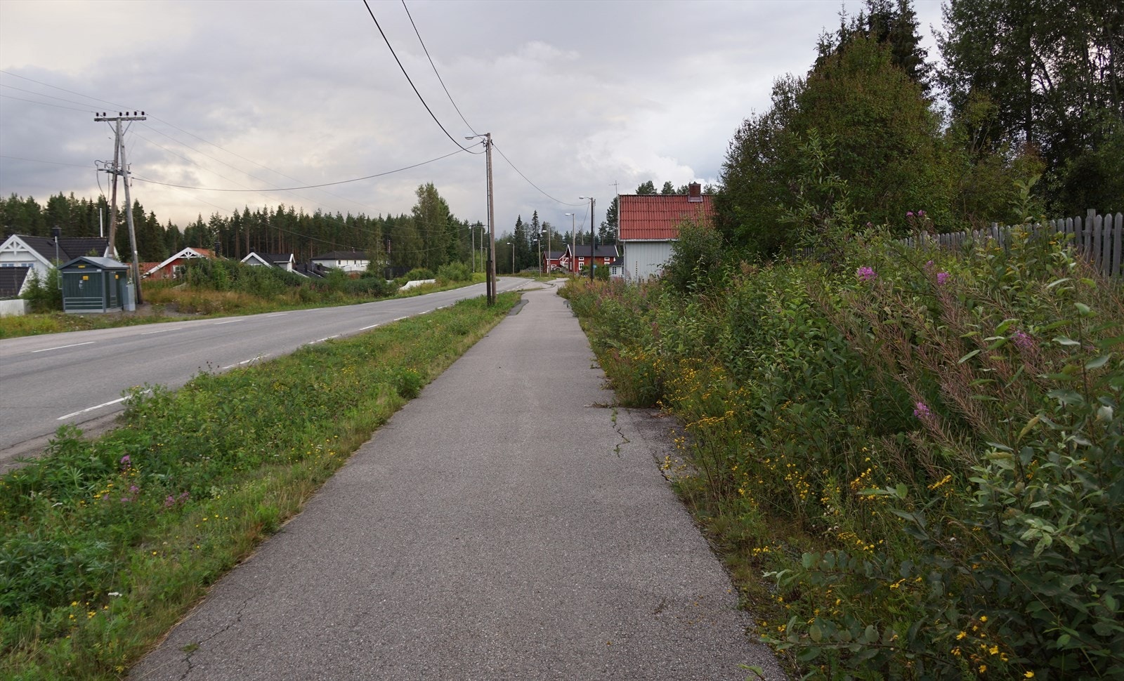 Gang- og sykkelsti Galleribilde