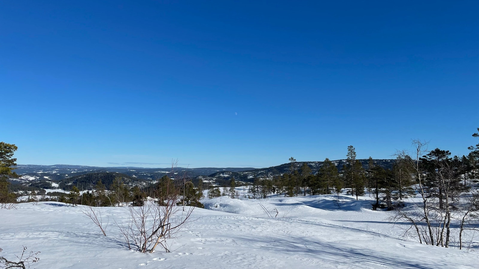 Fra tomt D78 Galleribilde