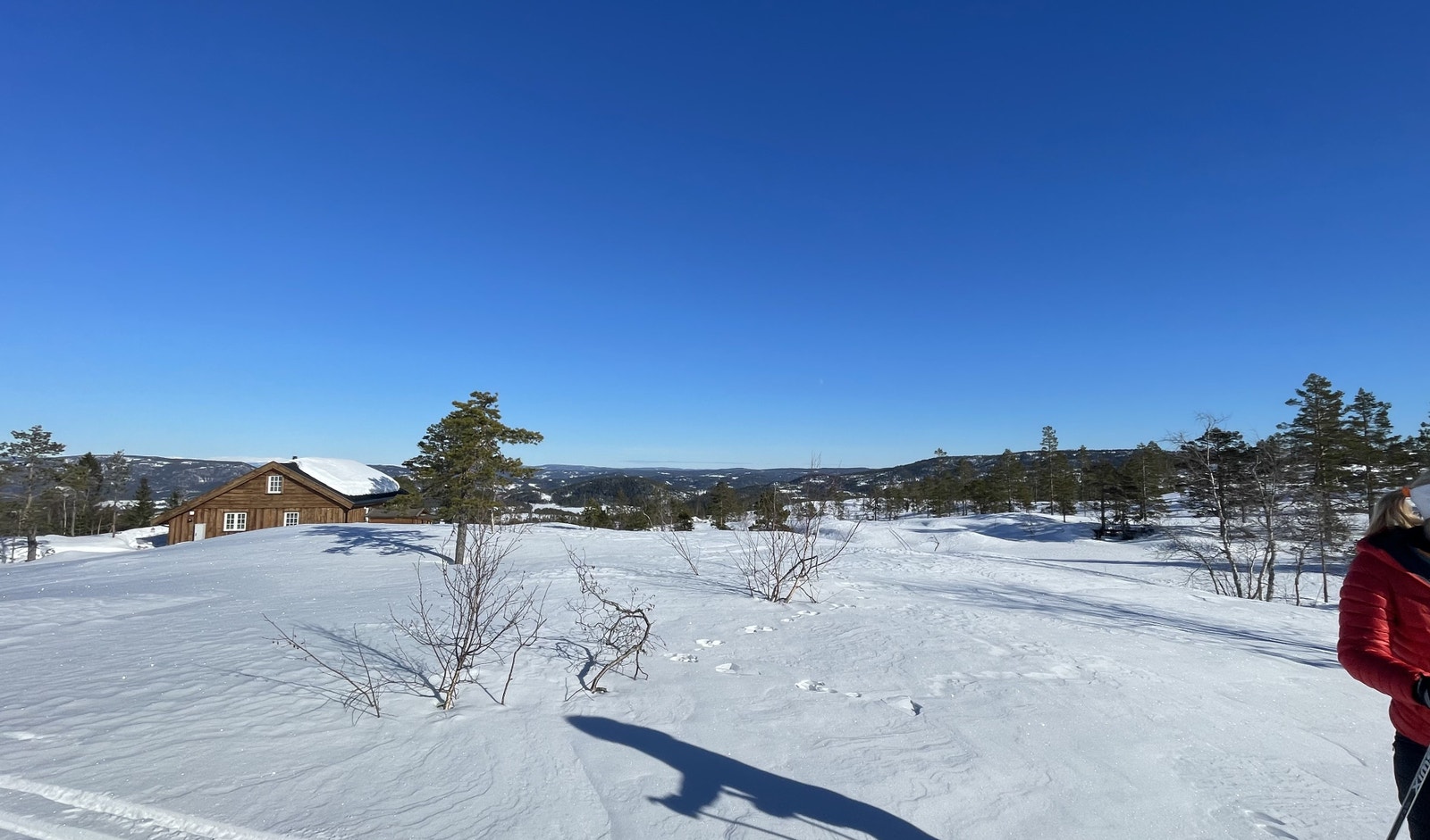 Fra tomt D78 Galleribilde