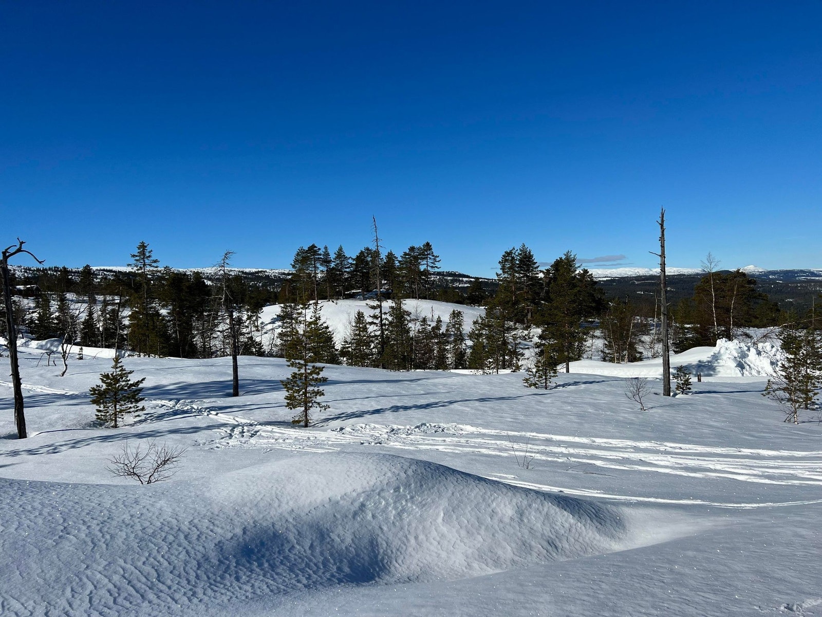 Fra tomt D80 Galleribilde