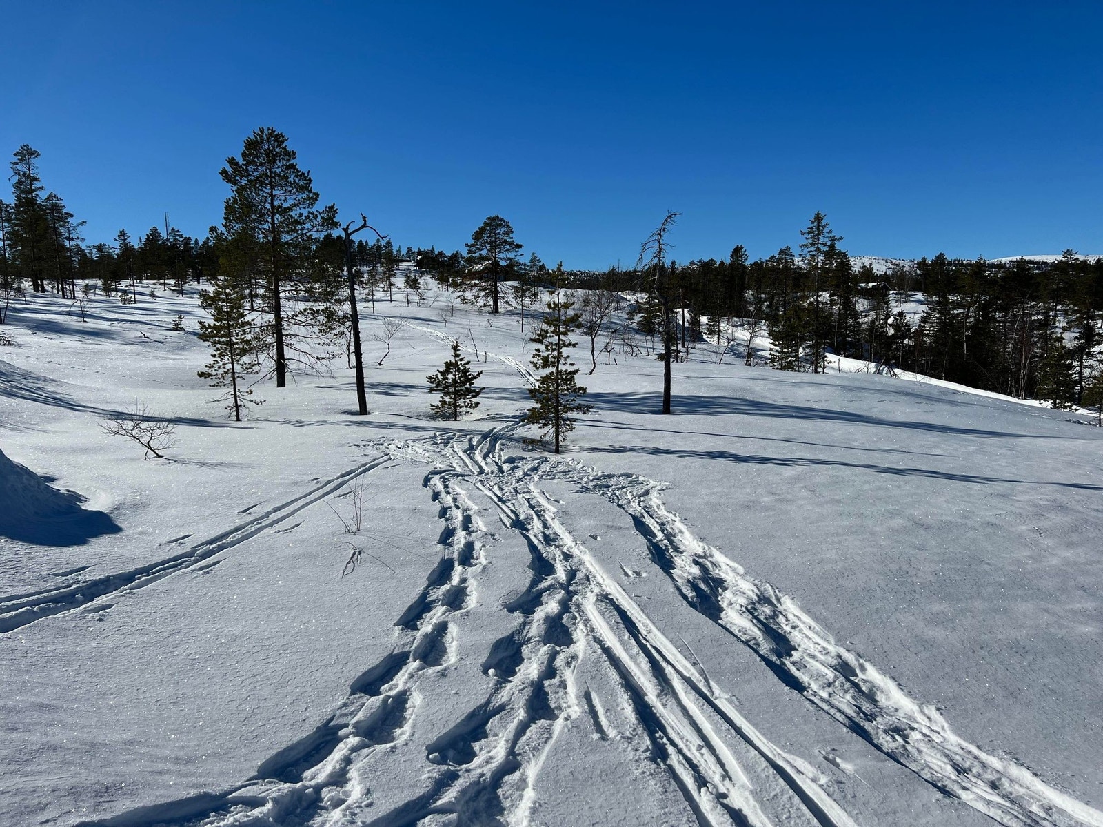 Fra tomt D80 Galleribilde