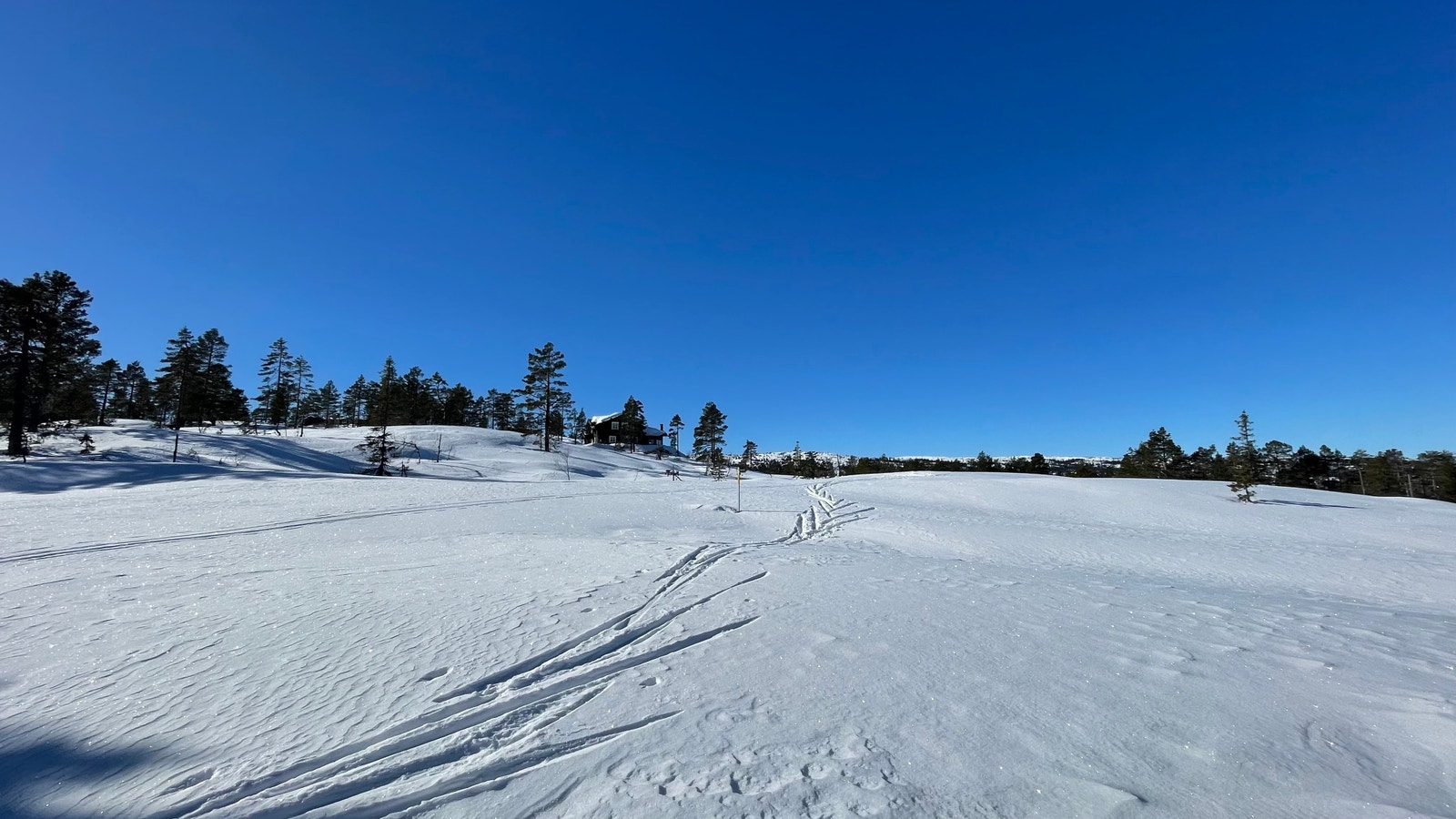 Fra tomt D78 Galleribilde