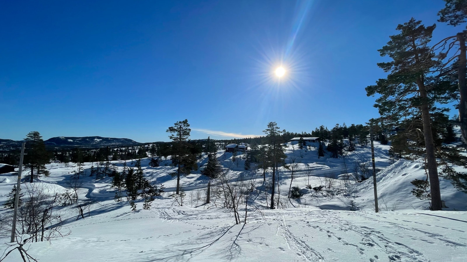 Fra tomt D69 Galleribilde