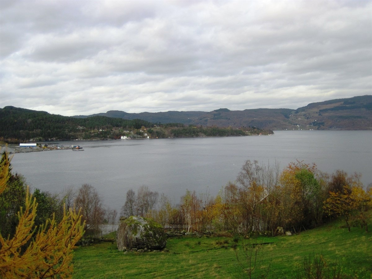 Her har du gode solforhold og en flott utsikt over fjorden Galleribilde