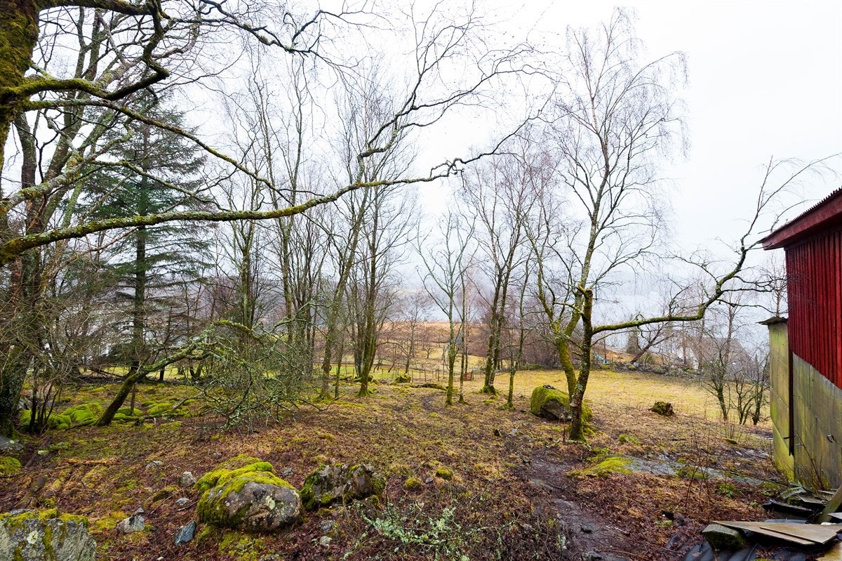 Her kan du også bygge stor garasje med en grunnflate som ikke overstiger 50 kvm. Galleribilde