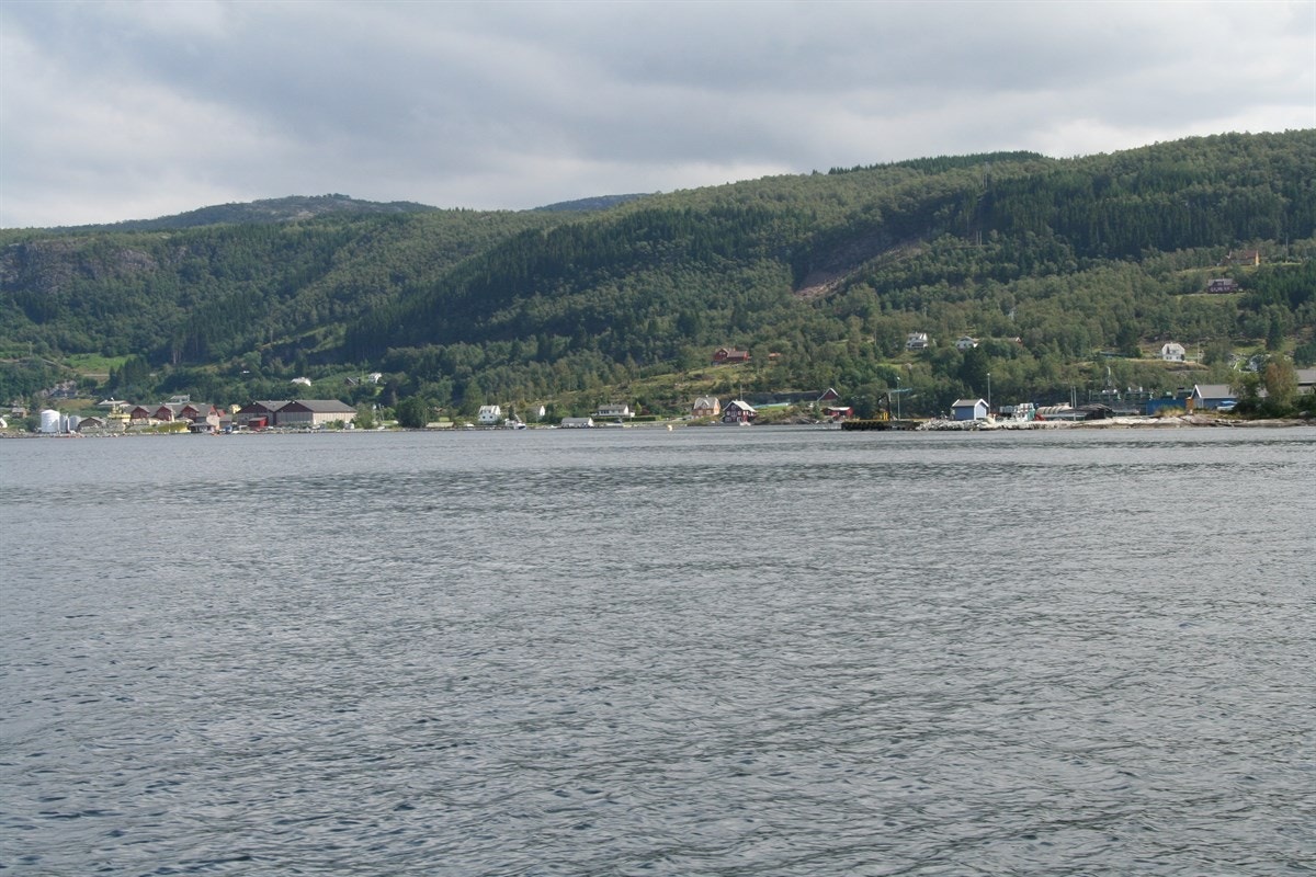 Kort vei til sjøen fra tomten Galleribilde
