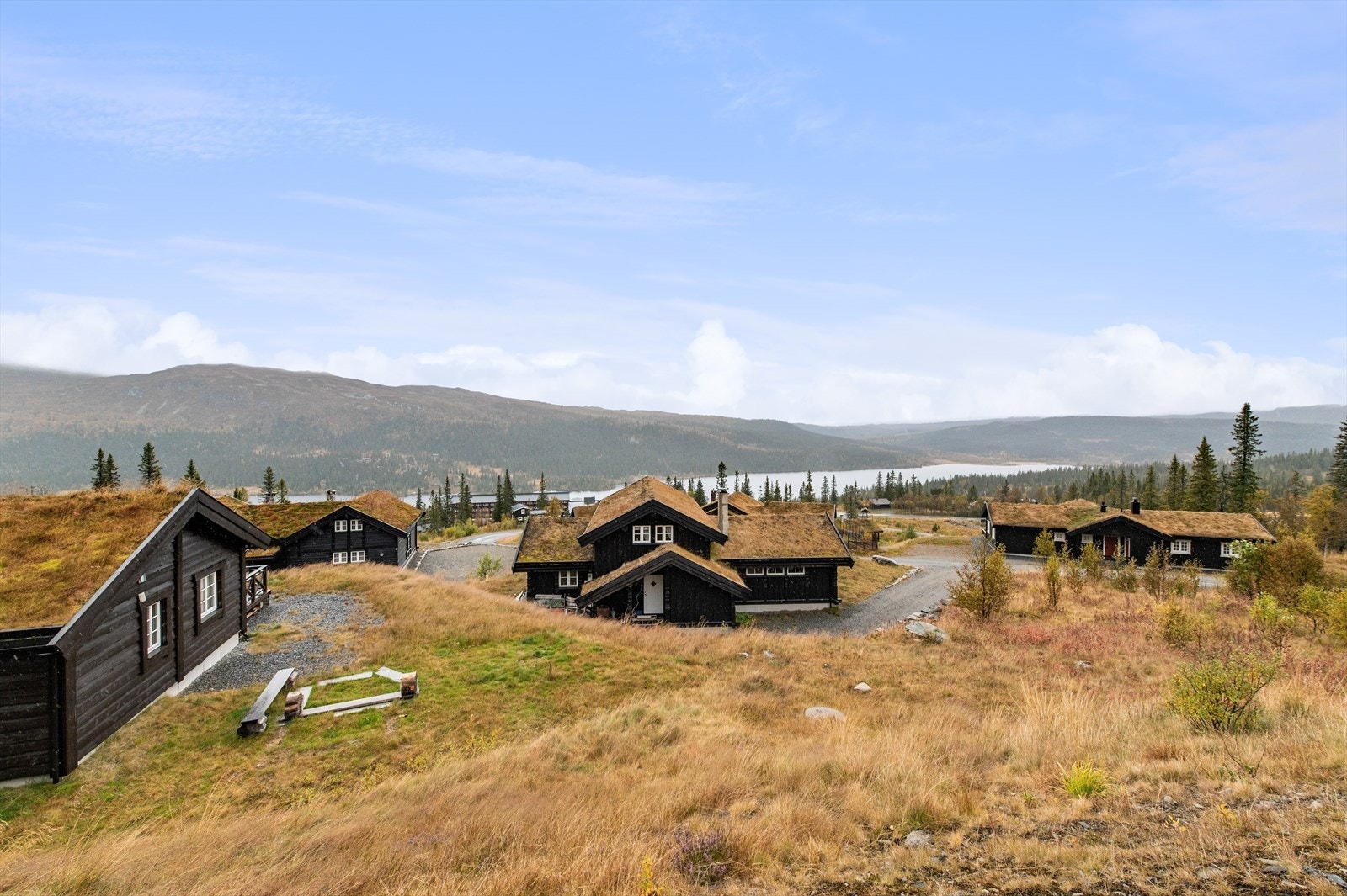Flott turterreng hele året Galleribilde
