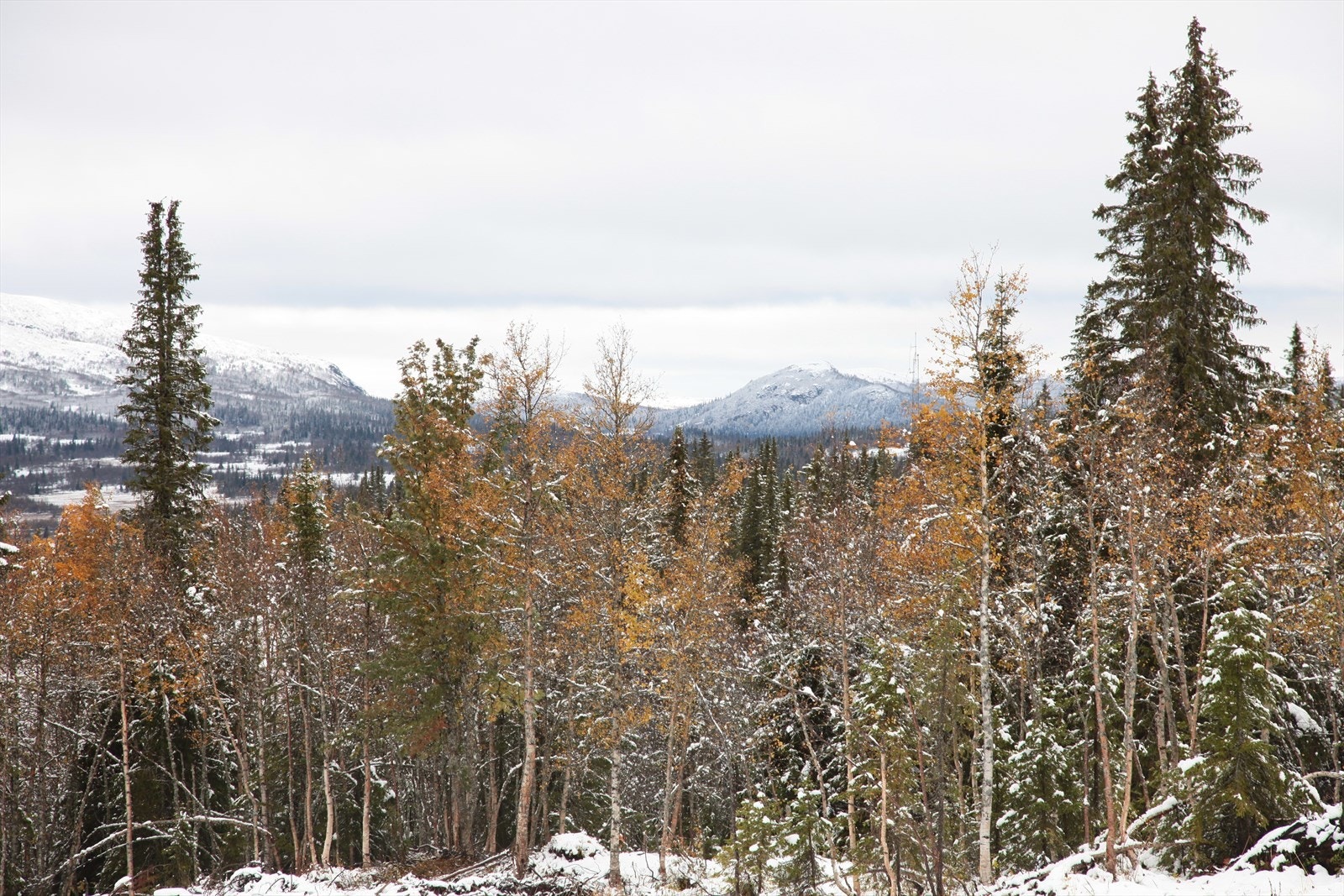 Hytta ligger ca. 905 moh. ved Spåtind Fjellstue l i Synnfjell, Jotunheimens forgård. Galleribilde