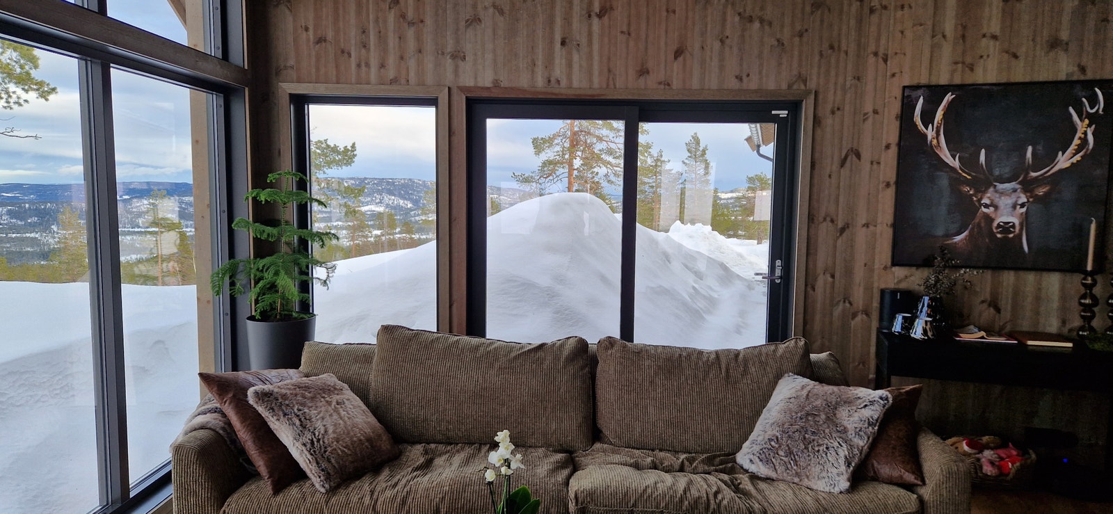 Nydelig stue med naturen rett inn. Galleribilde