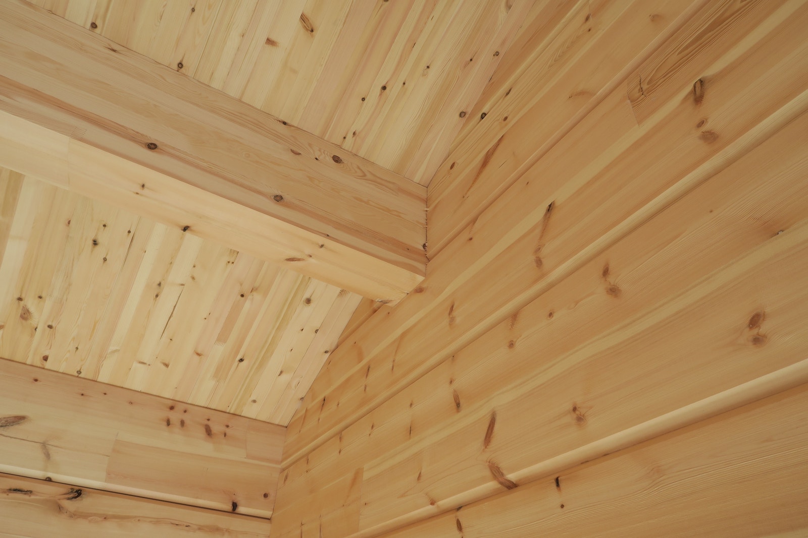 Bilde fra en annen hytte Galleribilde