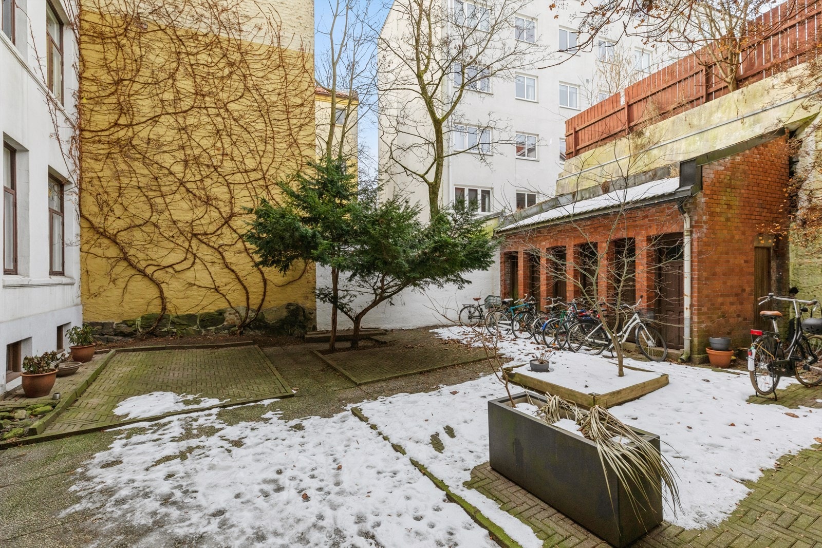 Felles bakgård med hyggelige utearealer og sykkelparkering. Galleribilde