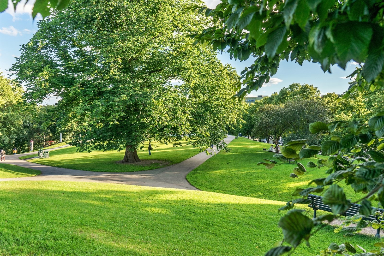 Stensparken - for de turglade finnes det flere parkanlegg med rekreasjonsmuligheter. Galleribilde